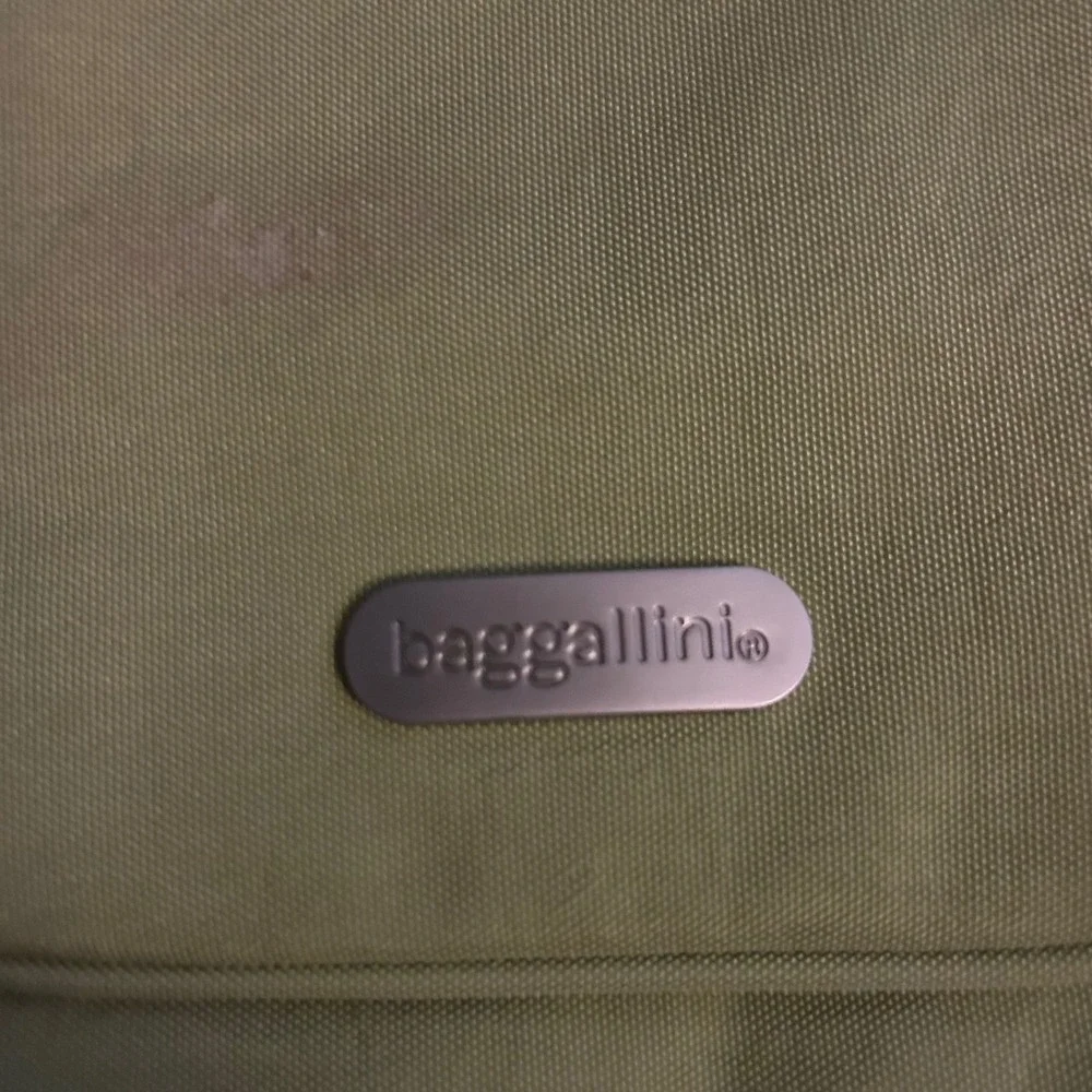 Baggallini Olive Green Nylon Crossbody Travel Bag Organizer Purse